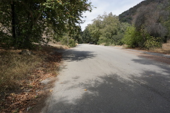 Enlarge photo 73