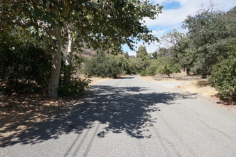 Enlarge photo 85