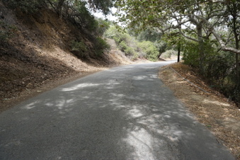 Enlarge photo 48