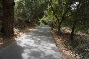 Enlarge photo 43