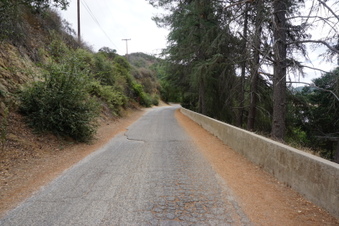Enlarge photo 2