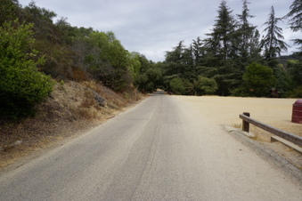 Enlarge photo 31