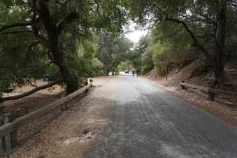 Enlarge photo 35