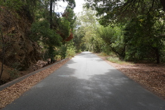 Enlarge photo 55