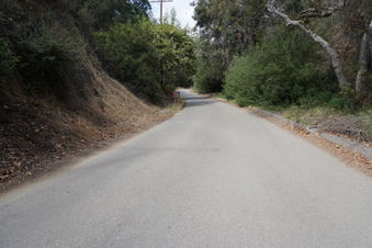 Enlarge photo 67