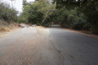 Enlarge photo 44