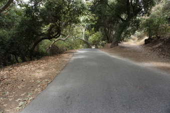 Enlarge photo 39