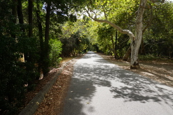 Enlarge photo 54