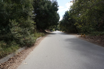 Enlarge photo 66
