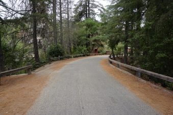 Enlarge photo 25