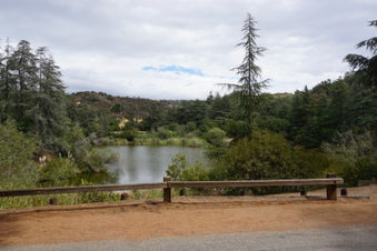 Enlarge photo 24