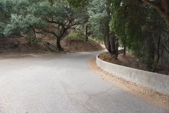 Enlarge photo 8