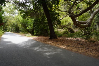 Enlarge photo 56