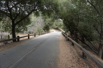 Enlarge photo 36