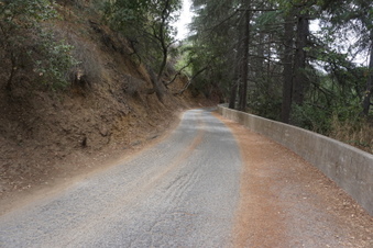 Enlarge photo 16