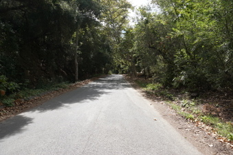 Enlarge photo 57