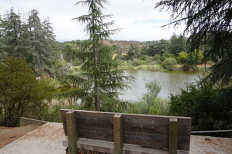 Enlarge photo 26