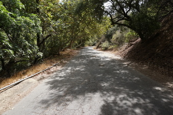 Enlarge photo 47