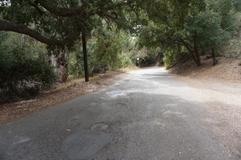 Enlarge photo 46