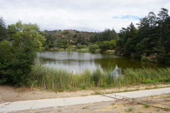 Enlarge photo 23