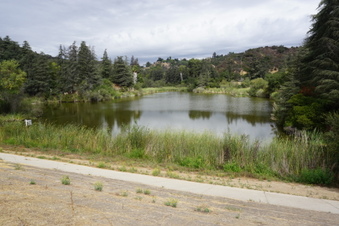 Enlarge photo 18