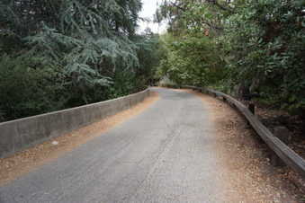 Enlarge photo 9