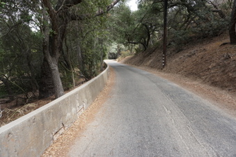Enlarge photo 15