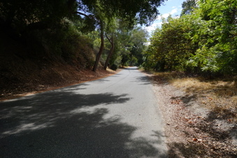 Enlarge photo 72