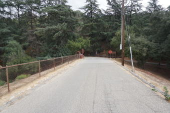 Enlarge photo 21