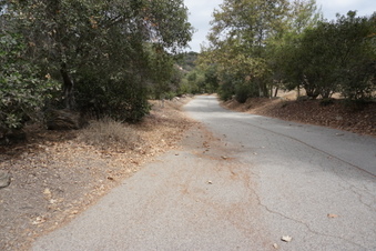 Enlarge photo 41