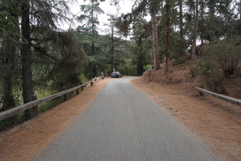 Enlarge photo 27