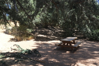 Enlarge photo 10