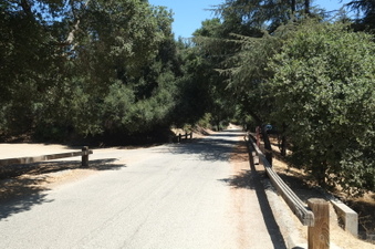 Enlarge photo 15
