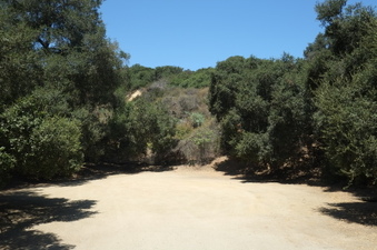 Enlarge photo 16