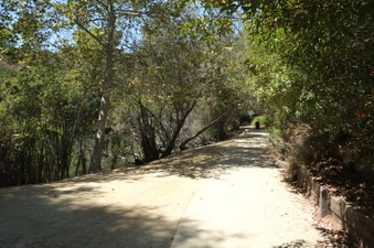 Enlarge photo 17
