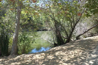 Enlarge photo 18