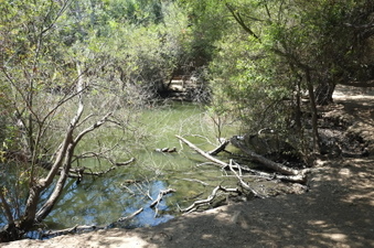 Enlarge photo 19