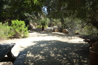 Enlarge photo 25