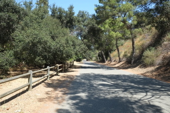 Enlarge photo 30