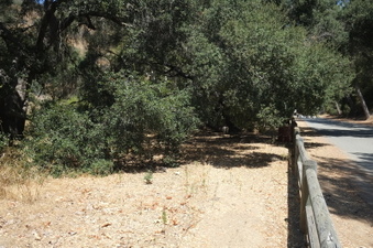 Enlarge photo 31