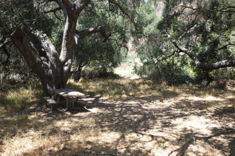 Enlarge photo 32