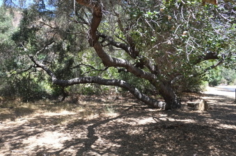 Enlarge photo 33