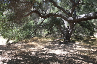 Enlarge photo 34