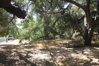 Enlarge photo 35