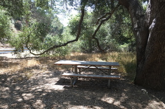 Enlarge photo 36