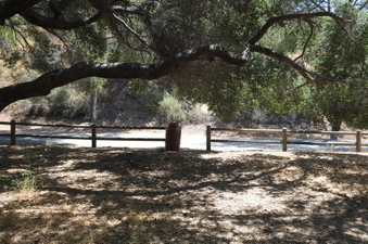 Enlarge photo 37
