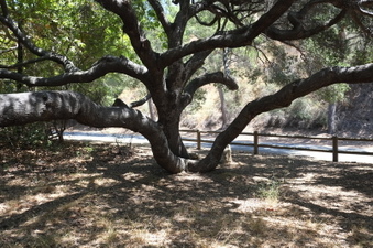 Enlarge photo 38