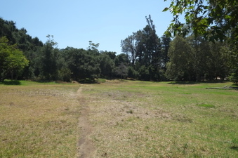 Enlarge photo 45