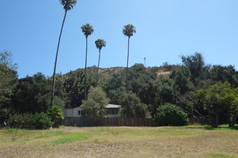 Enlarge photo 46