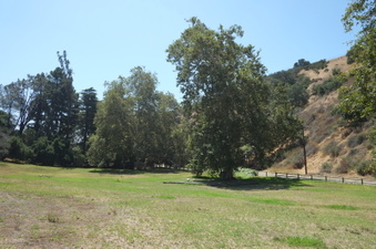 Enlarge photo 47